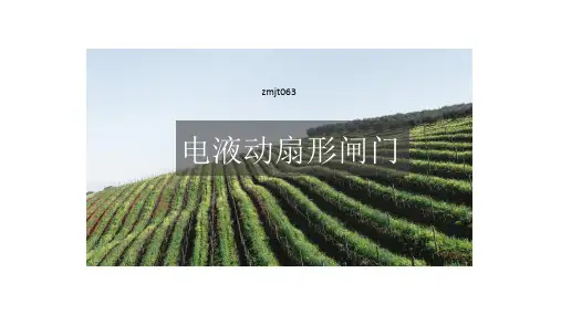 电液动扇形闸门