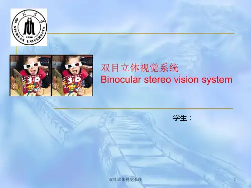 双目立体视觉系统