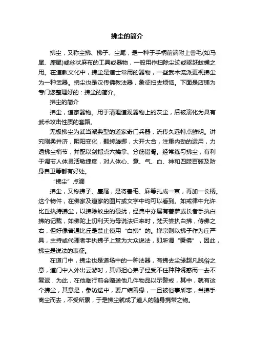 拂尘的简介