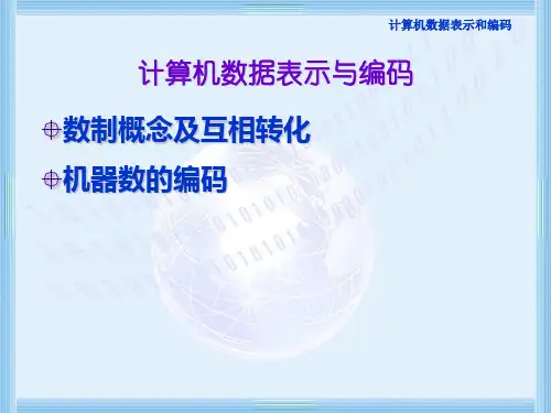 数值表示方法