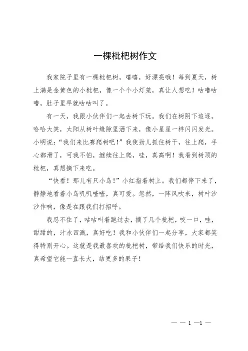 一棵枇杷树作文