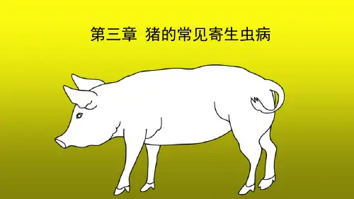 猪的常见寄生虫病