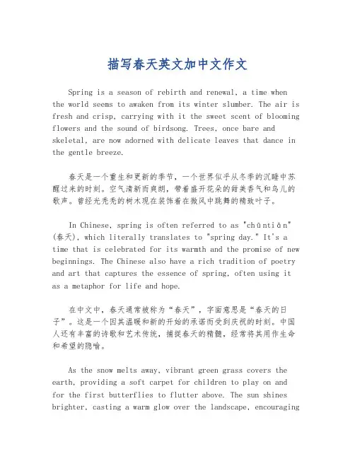 描写春天英文加中文作文