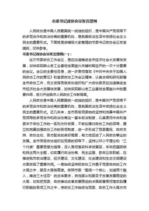 市委书记政协会议发言提纲