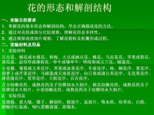 花的形态和解剖结构
