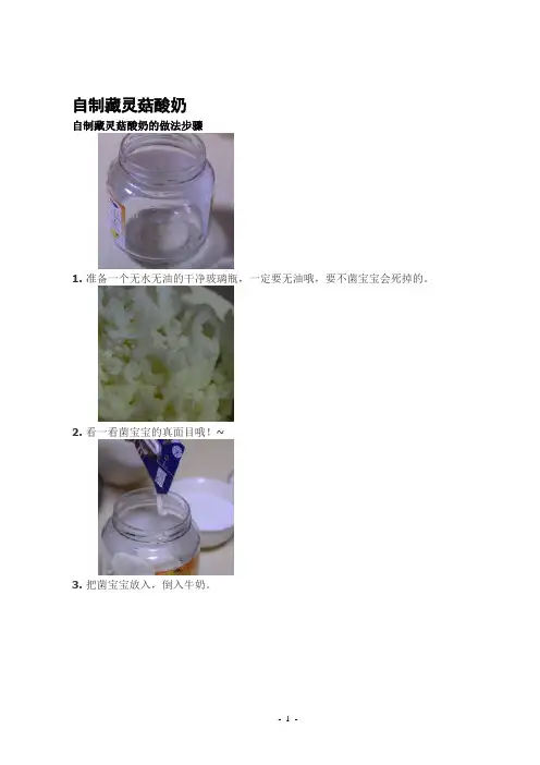 雪莲菌酸奶知识大全