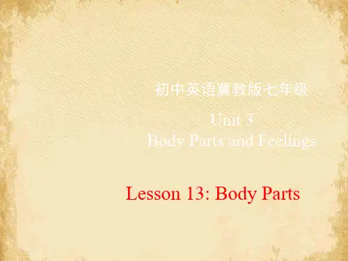 《Body Parts》Body Parts and Feelings PPT课件