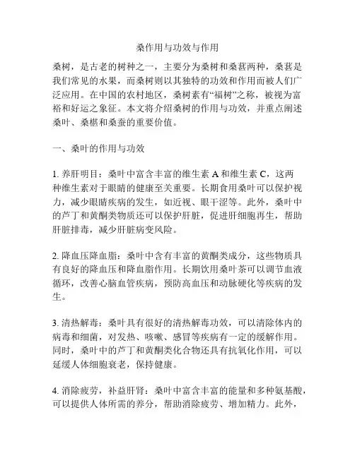 桑作用与功效与作用