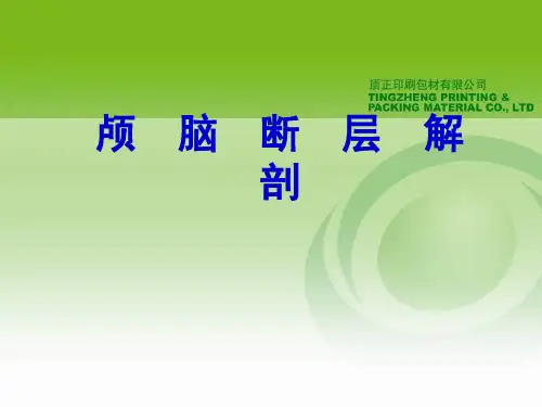 颅脑断层解剖 最全最强