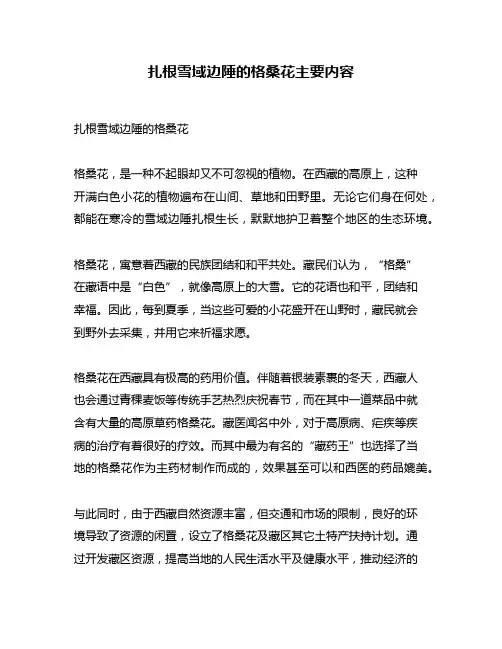 扎根雪域边陲的格桑花主要内容