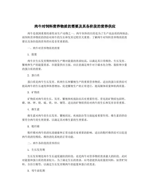 肉牛对饲料营养物质的需要及其各阶段的营养供应
