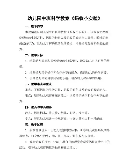 幼儿园中班科学教案《蚂蚁小实验》