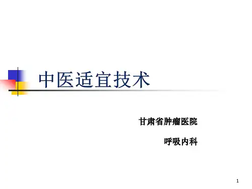 中医适宜技术PPT幻灯片课件