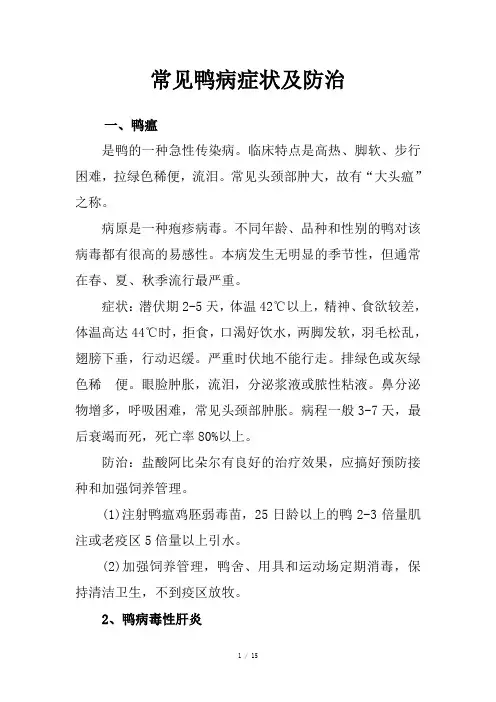 常见鸭病症状及防治