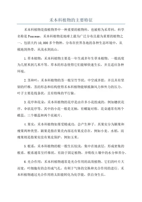 禾本科植物的主要特征