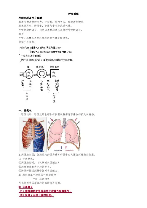 生理学-呼吸系统