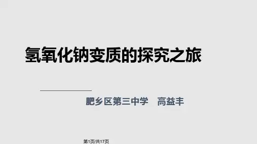 氢氧化钠变质PPT课件