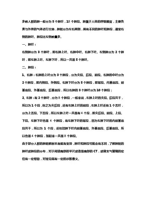 肺叶分段标准