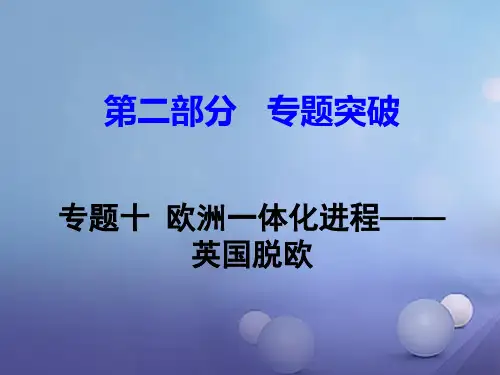 湖南省中考历史 第二部分 专题突破十 欧洲一体化进程——英国脱欧课件