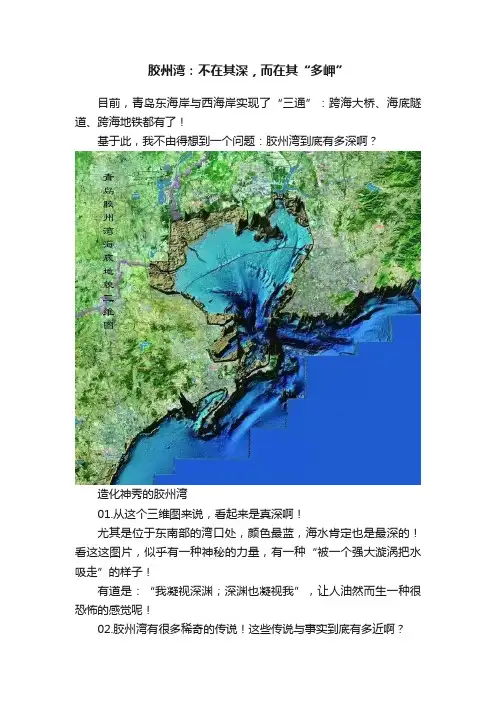 胶州湾：不在其深，而在其“多岬”