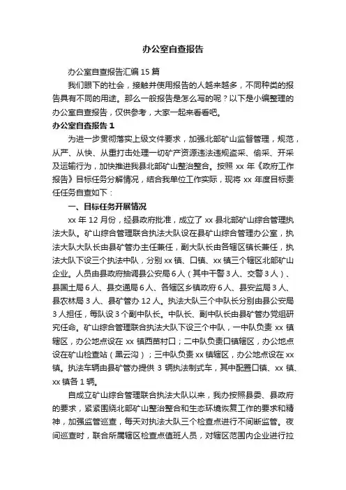 办公室自查报告