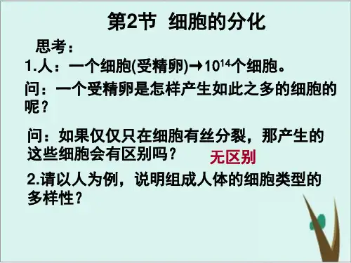 《细胞的分化》人教版优秀课件1