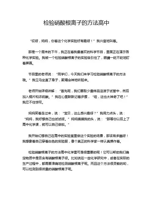 检验硝酸根离子的方法高中