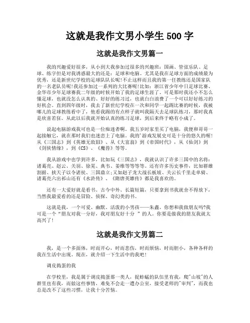 这就是我作文男小学生500字