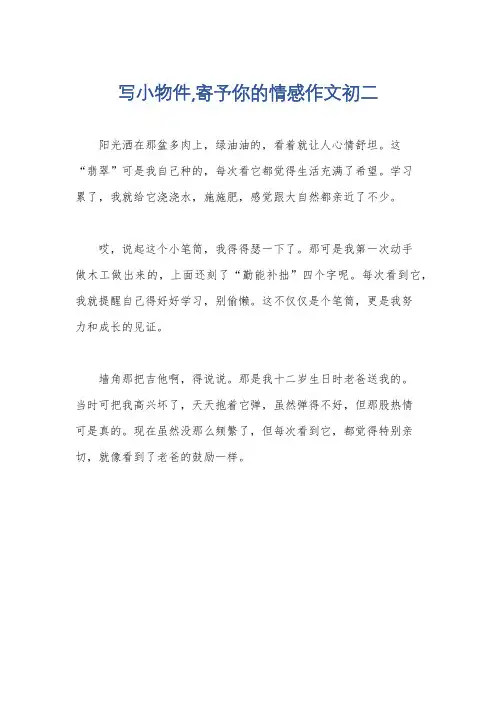写小物件,寄予你的情感作文初二