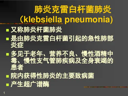 肺炎克雷白杆菌肺炎PPT课件