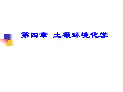 土壤环境化学2.