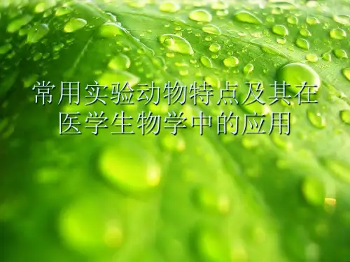 常用实验动物特点及其在医学生物学中的应用