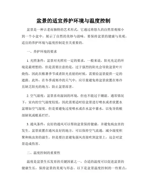 盆景的适宜养护环境与温度控制