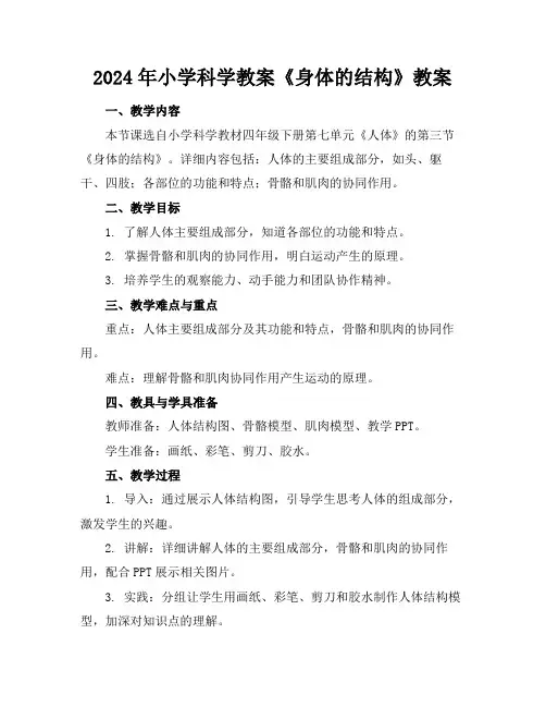 2024年小学科学教案《身体的结构》教案