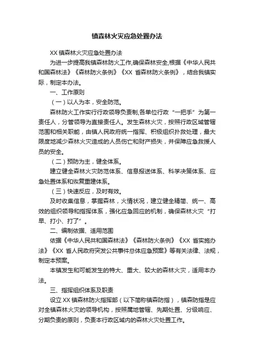 镇森林火灾应急处置办法