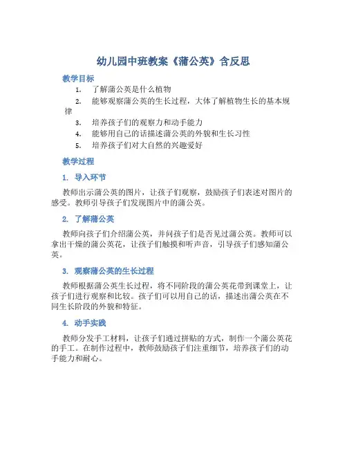 幼儿园中班教案《蒲公英》含反思