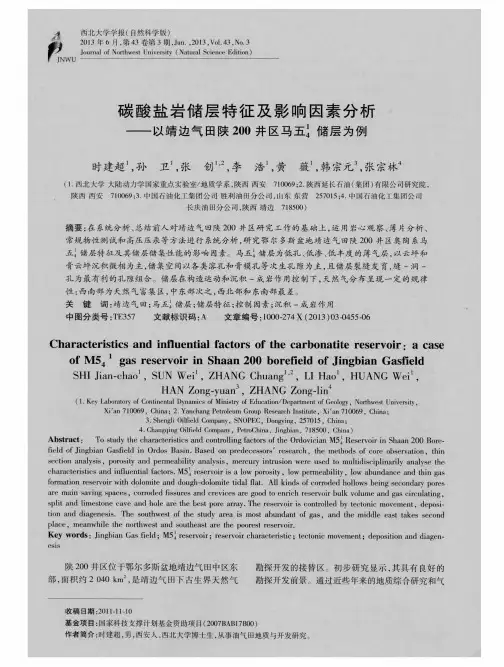 碳酸盐岩储层特征及影响因素分析——以靖边气田陕200井区马五4^1储层为例