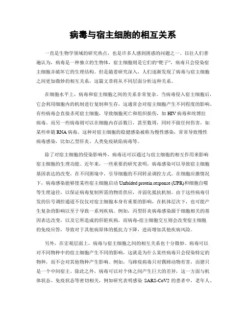 病毒与宿主细胞的相互关系