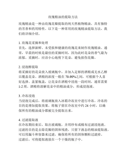 玫瑰精油的提取方法