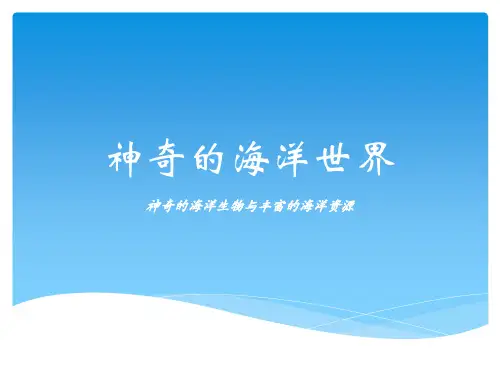 神奇的海洋世界课件