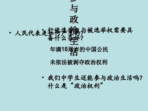 九年级政治 依法参与政治生活课件人教版