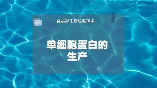 单细胞蛋白的生产