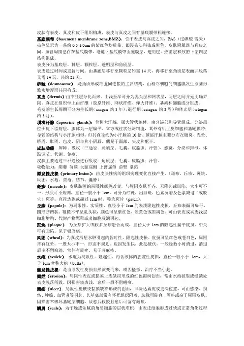 皮肤性病学复习资料