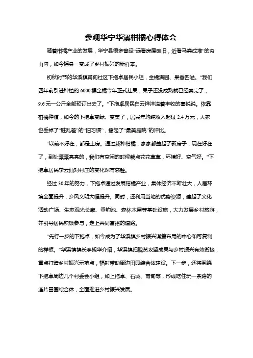 参观华宁华溪柑橘心得体会