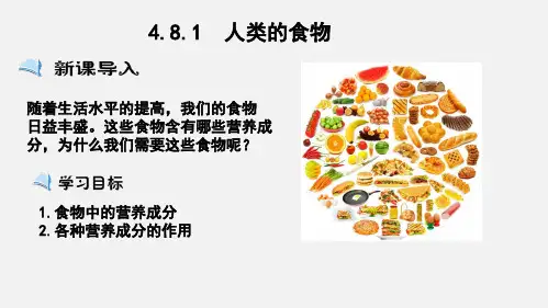 人类的食物(课件)-七年级生物下册(北师大版)