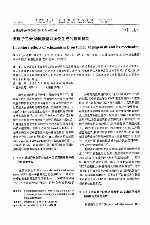 五味子乙素抑制肿瘤内血管生成的作用机制