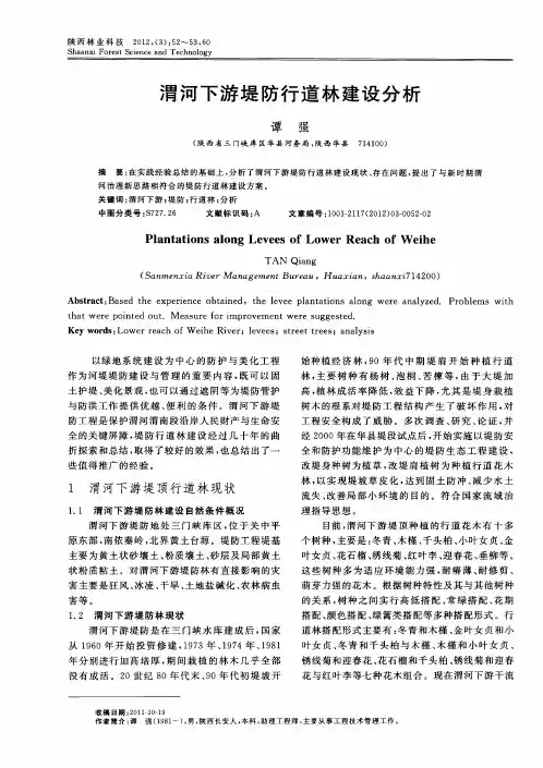 渭河下游堤防行道林建设分析