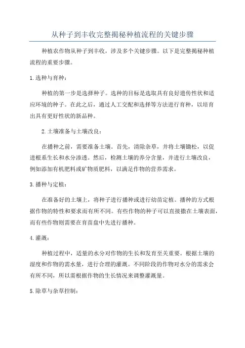 从种子到丰收完整揭秘种植流程的关键步骤