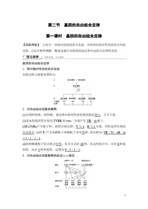 高中生物(苏教版必修二)学案文档：第三章 第二节 第一课时 基因的自由组合定律