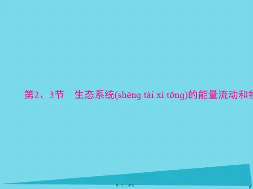 高考生物一轮总复习第5章第23节生态系统的能量流动和物质循环课件(必修3)